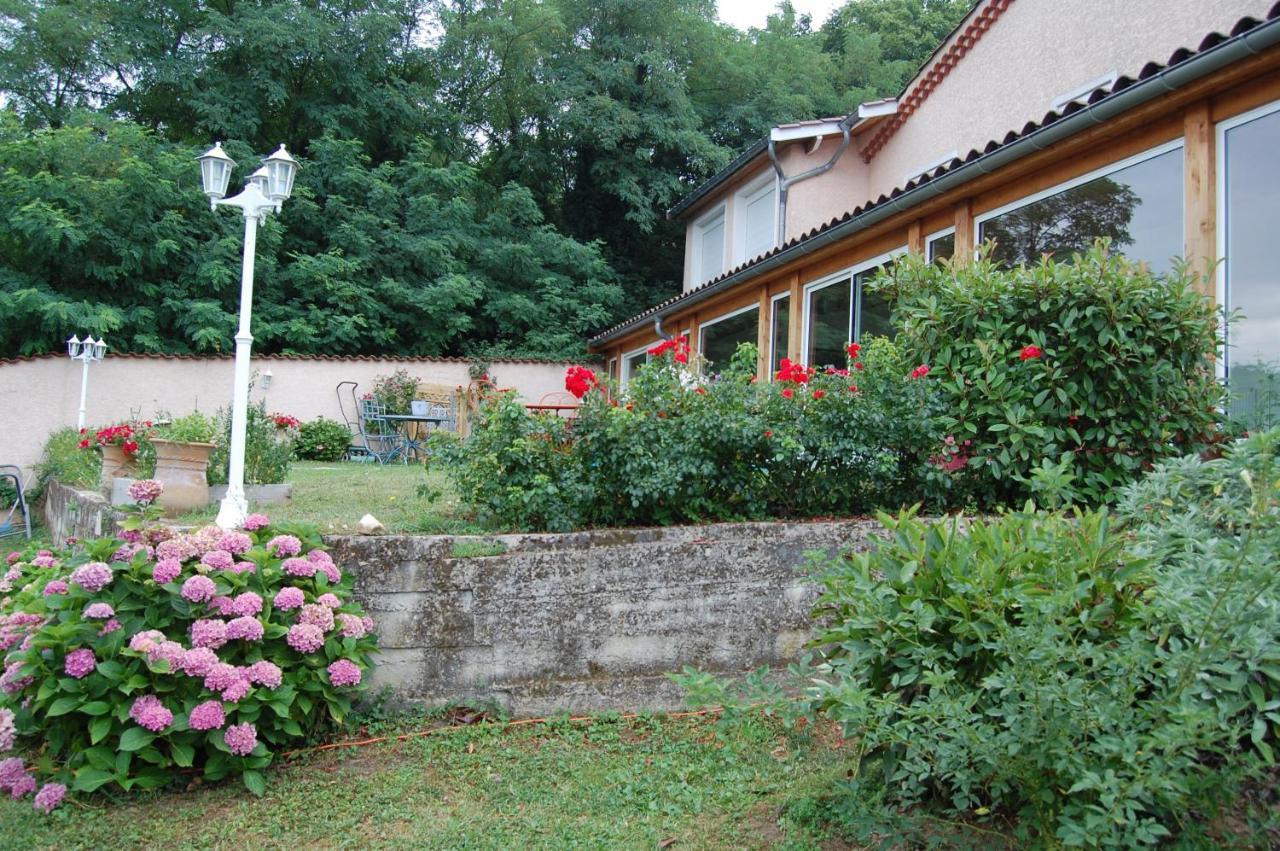 Villa Panoramique Saint-Clair-du-Rhone Buitenkant foto
