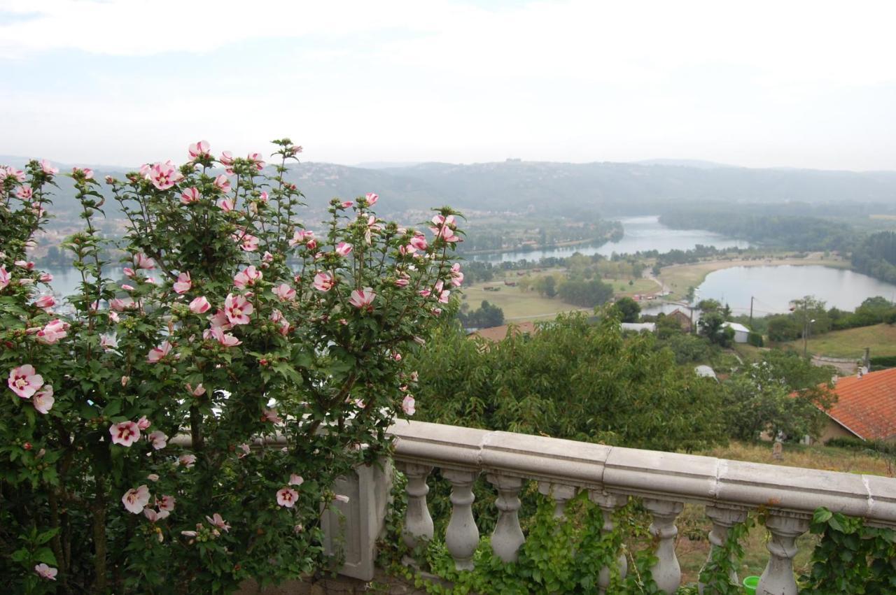 Villa Panoramique Saint-Clair-du-Rhone Buitenkant foto